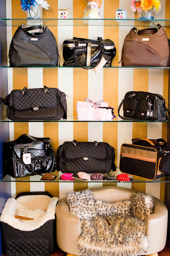 Pet Supply Store «Oh My Dog! Boutique & Spa», reviews and photos, 7137 E Stetson Dr #8, Scottsdale, AZ 85251, USA