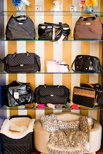 Oh My Dog! Boutique Hotel & Spa - Photo 9 - Car repair in Scottsdale, AZ, Phoenix