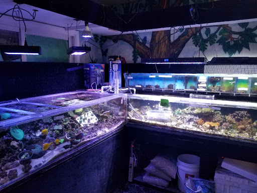 Pet Store «Birds & Beasts Pet Shop», reviews and photos, 35 Berkshire Dr # 18, Crystal Lake, IL 60014, USA