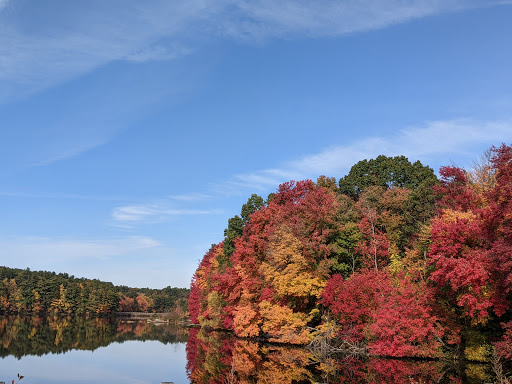Coffee Shop «Starbucks», reviews and photos, 154 Turnpike Rd, Southborough, MA 01772, USA