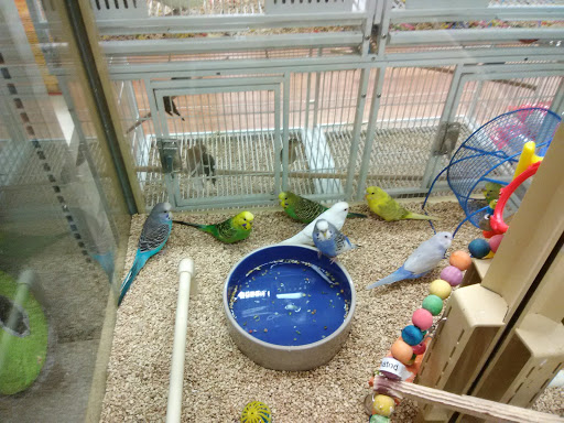 Pet Supply Store «Pet Supermarket», reviews and photos, 465 State Rd 13, Fruit Cove, FL 32259, USA