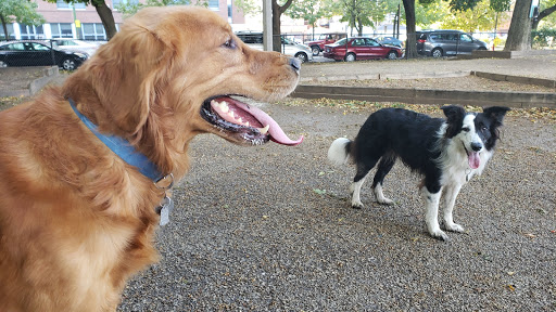 Dog Park «Wiggly Field Dog Friendly Area», reviews and photos, 2645 N Sheffield Ave, Chicago, IL 60614, USA