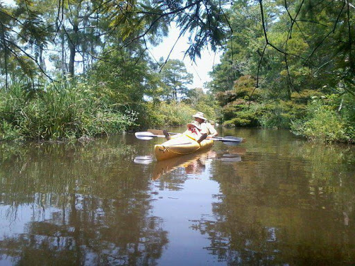 Canoe & Kayak Tour Agency «Altamaha Coastal Tours», reviews and photos, 229 Fort King George Dr, Darien, GA 31305, USA