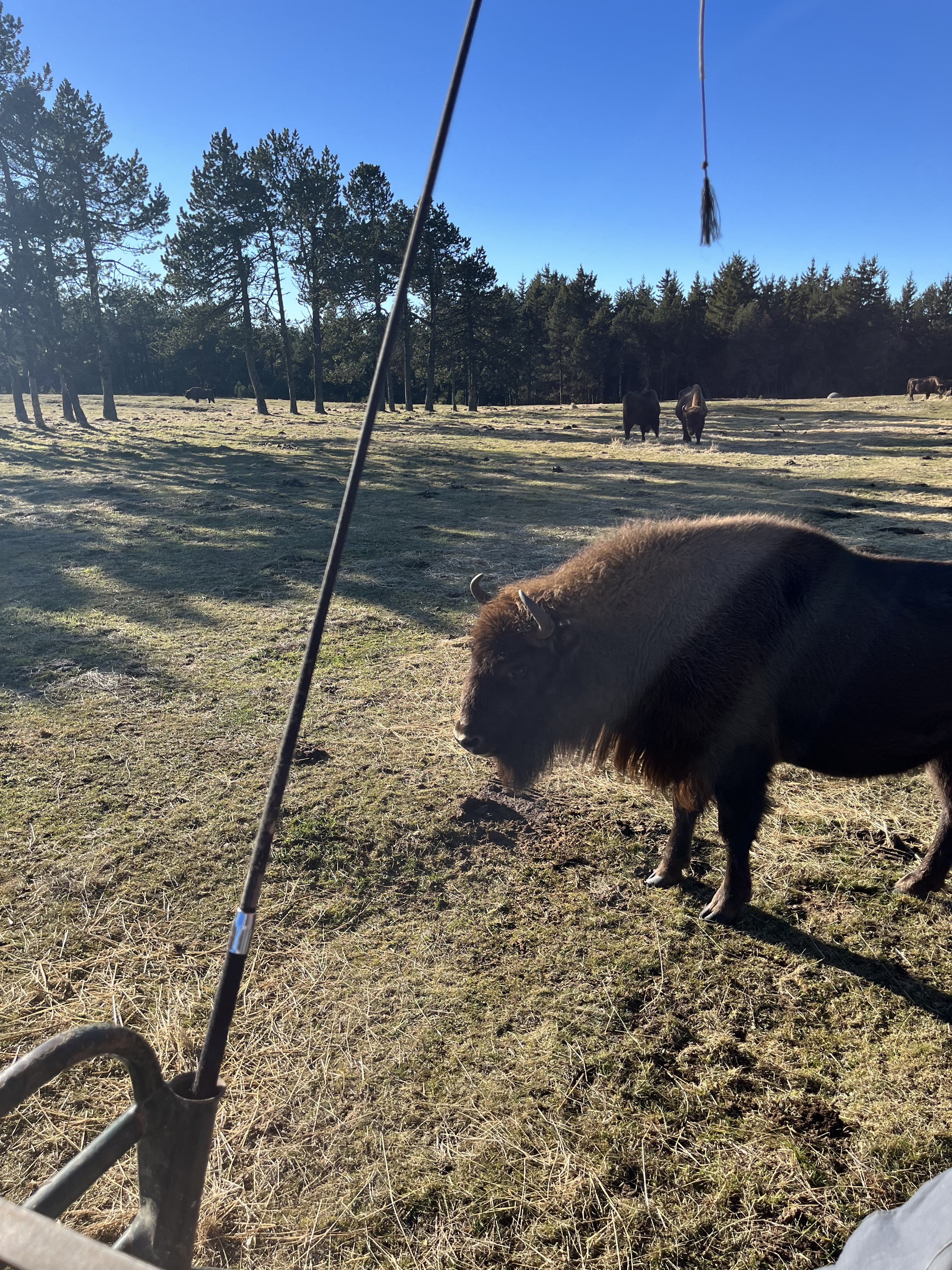 Photo n° 1 de l'avis de kerl.o fait le 06/01/2023 à 20:29