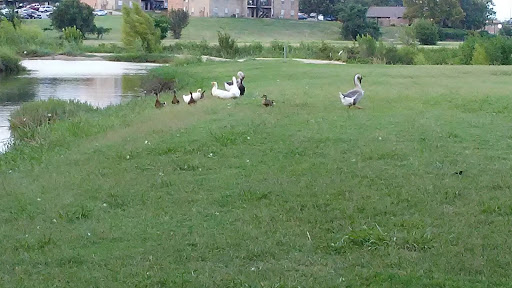 Park «Jennifer McFalls Park», reviews and photos, 1501 S Carrier Pkwy, Grand Prairie, TX 75051, USA