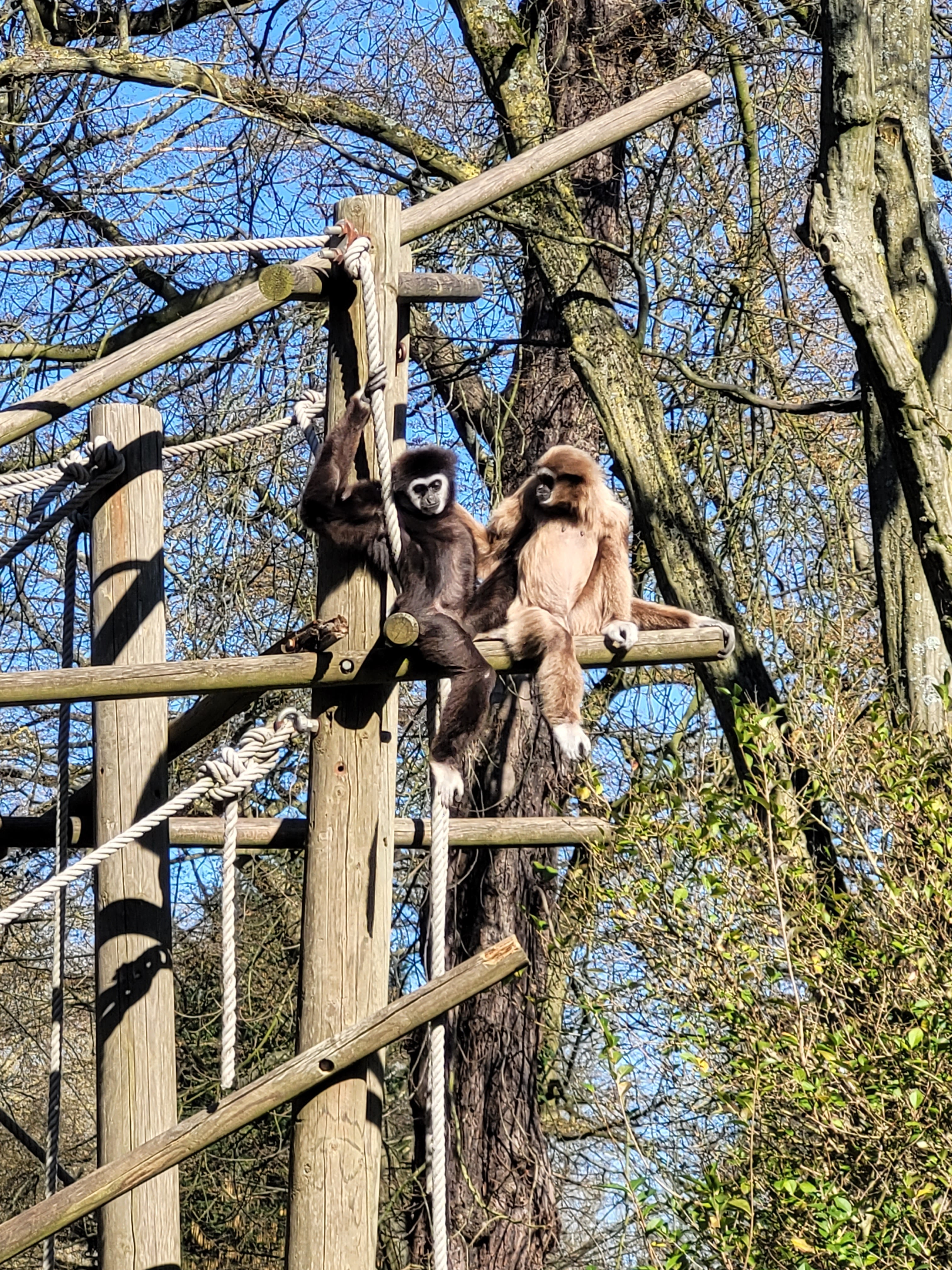 Photo n° 5 de l'avis de Jean.h fait le 28/02/2023 à 21:15