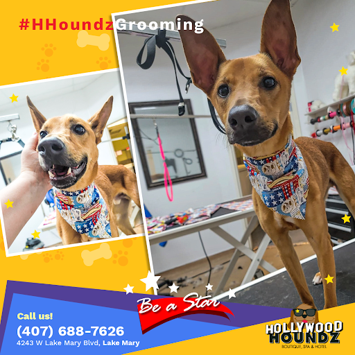 Pet Groomer «Hollywood Houndz Boutique, Spa & Hotel», reviews and photos, 4243 W Lake Mary Blvd, Lake Mary, FL 32746, USA