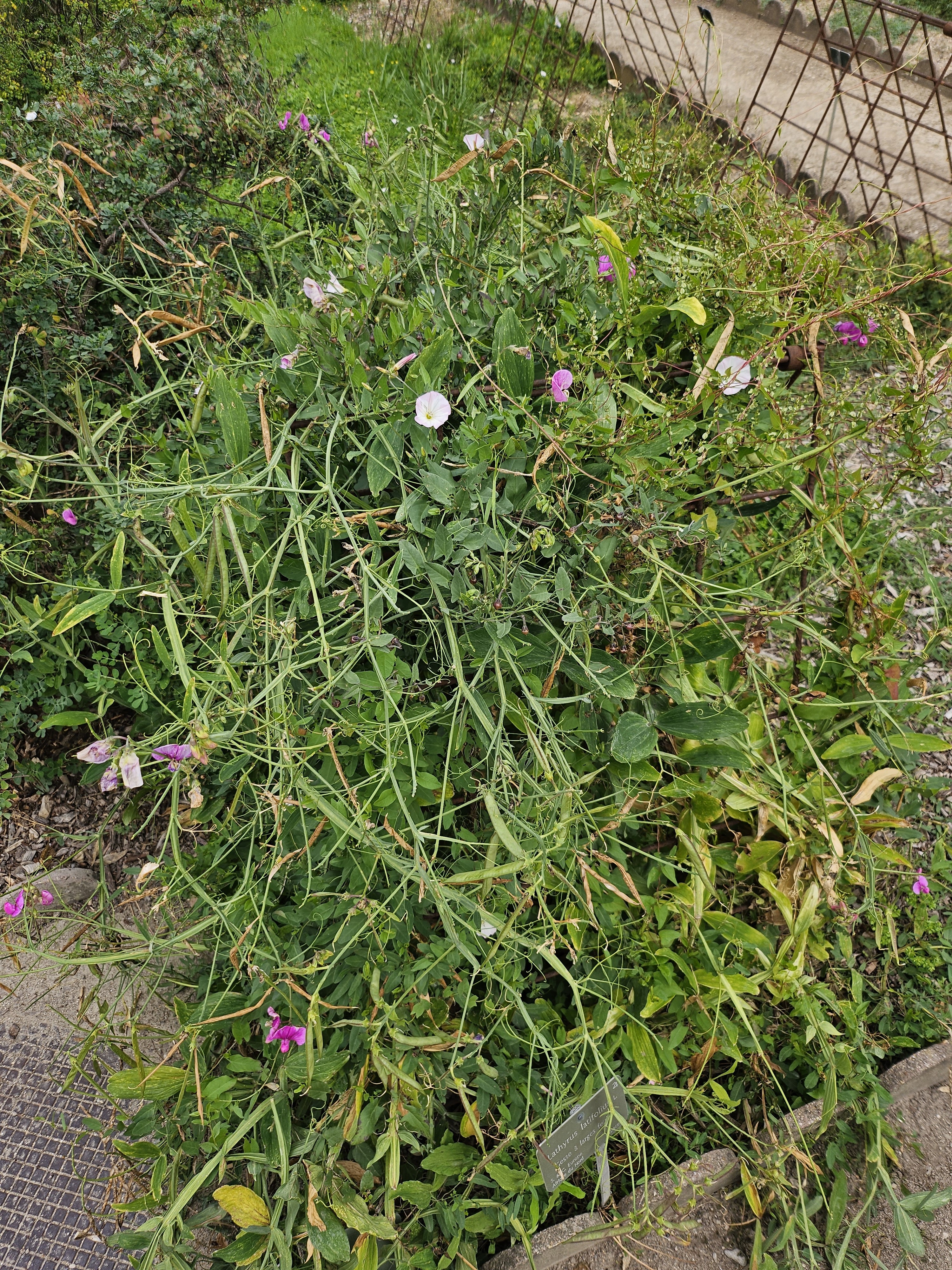 Photo n° 11 de l'avis de Romain.l fait le 10/08/2023 à 21:21