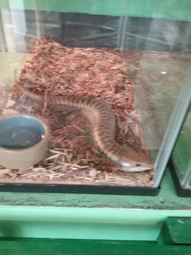 Pet Store «Critter Castle», reviews and photos, 1461 Boiling Springs Rd, Spartanburg, SC 29303, USA