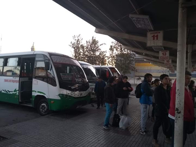 Terminal la Paz - Servicio de transporte