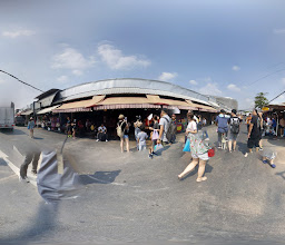 Viva 8 photo