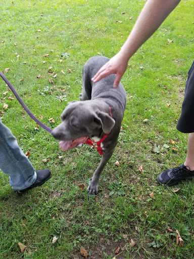 Park «Kawameeh Park», reviews and photos, 1750 Morris Ave, Union, NJ 07083, USA