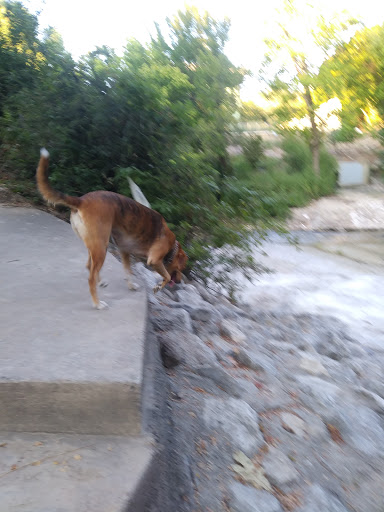 Park «Turtle Creek Parkway Park», reviews and photos, Bowen St, Dallas, TX 75219, USA