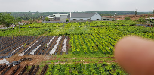 Top 20 cửa hàng nông nghiệp Huyện Phú Riềng Bình Phước 2022