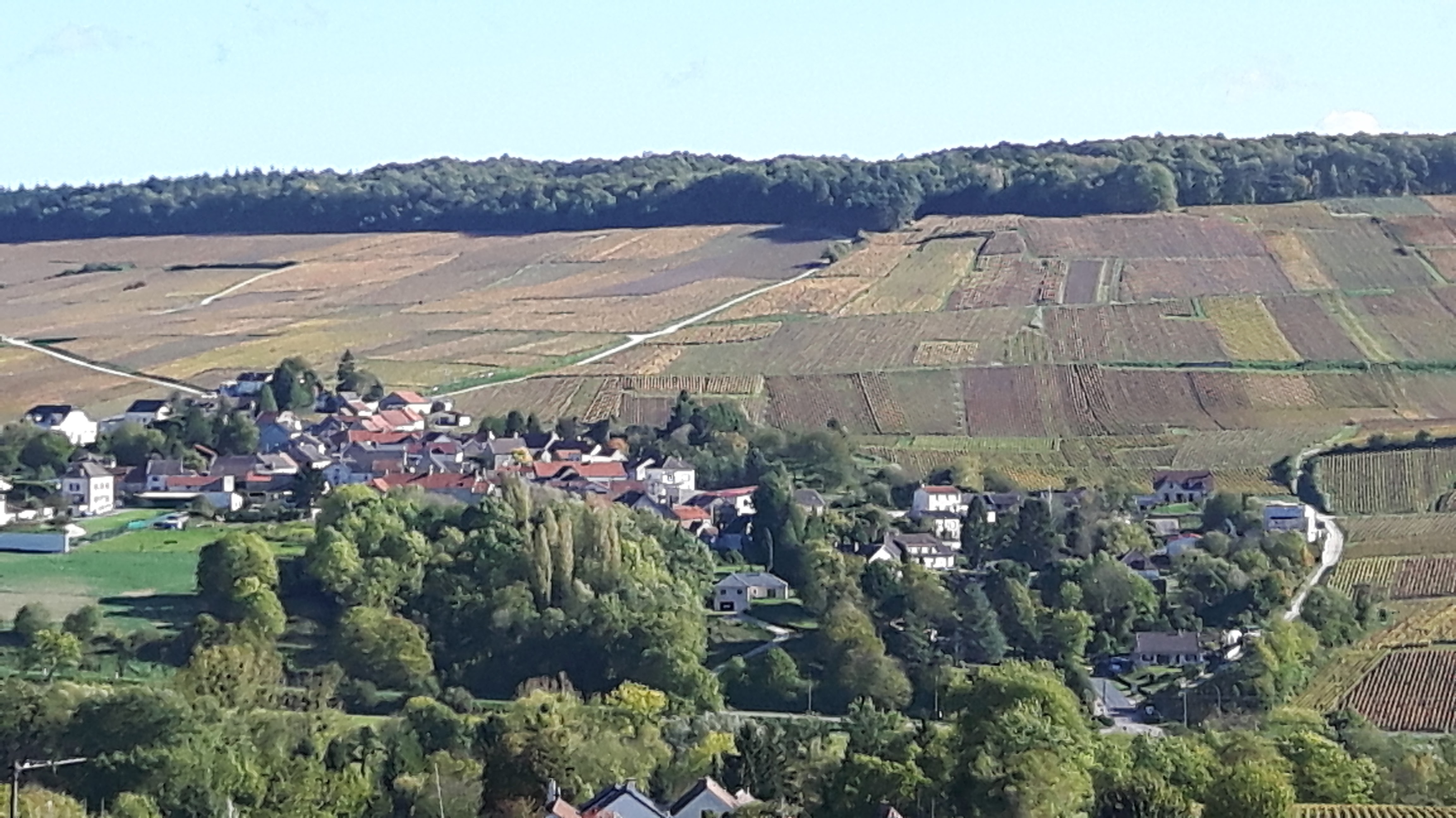 Photo n° 1 de l'avis de Thomas.a fait le 20/10/2017 à 12:24