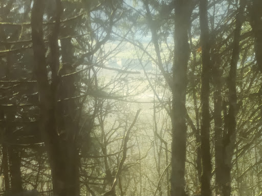 Park «Willamette Heights Park», reviews and photos, 508 Valley View, Springfield, OR 97477, USA