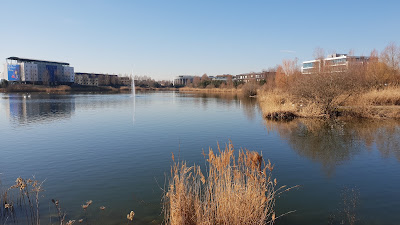 ROHAN NEOGERE à Schiltigheim