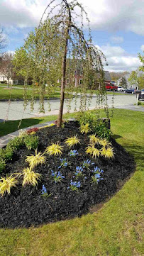 Careful Cuts - Photo 7 - Car repair in , Worcester