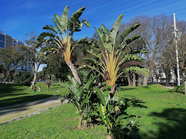 Jardim Mário Soares - Creche