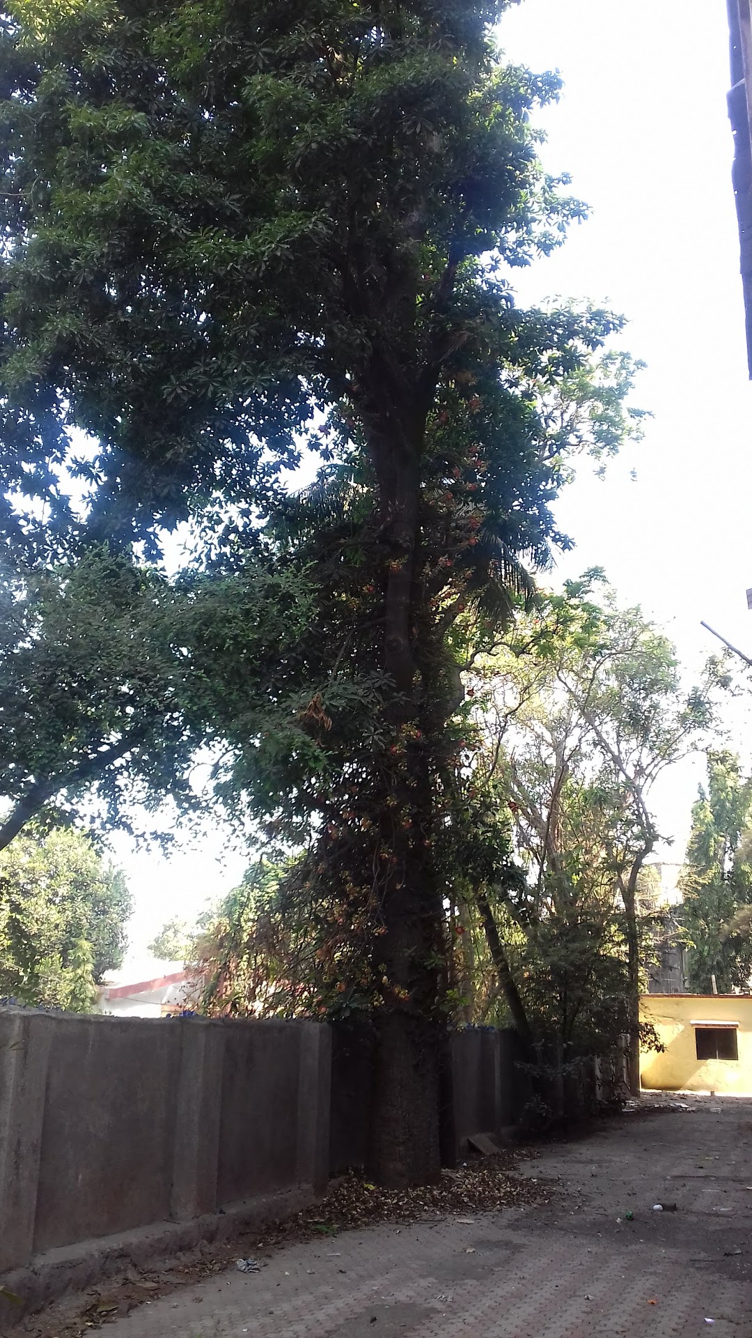 Padmavati Complex