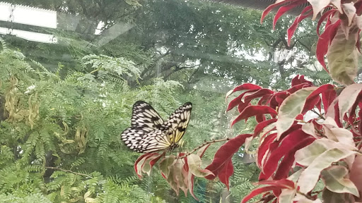 Botanical Garden «White River Gardens», reviews and photos, 1200 W Washington St, Indianapolis, IN 46222, USA