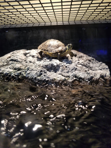 Pet Supply Store «Petco Animal Supplies», reviews and photos, 2210 N Eagle Rd, Meridian, ID 83646, USA