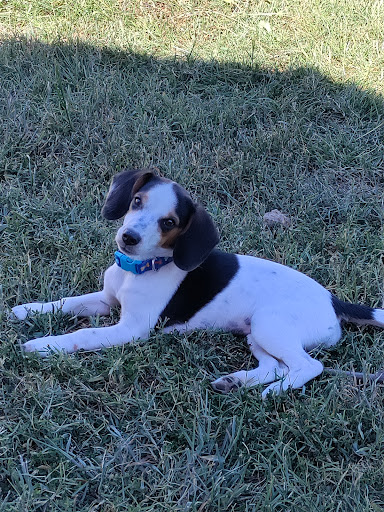 Cadron Creek Veterinary Clinic image