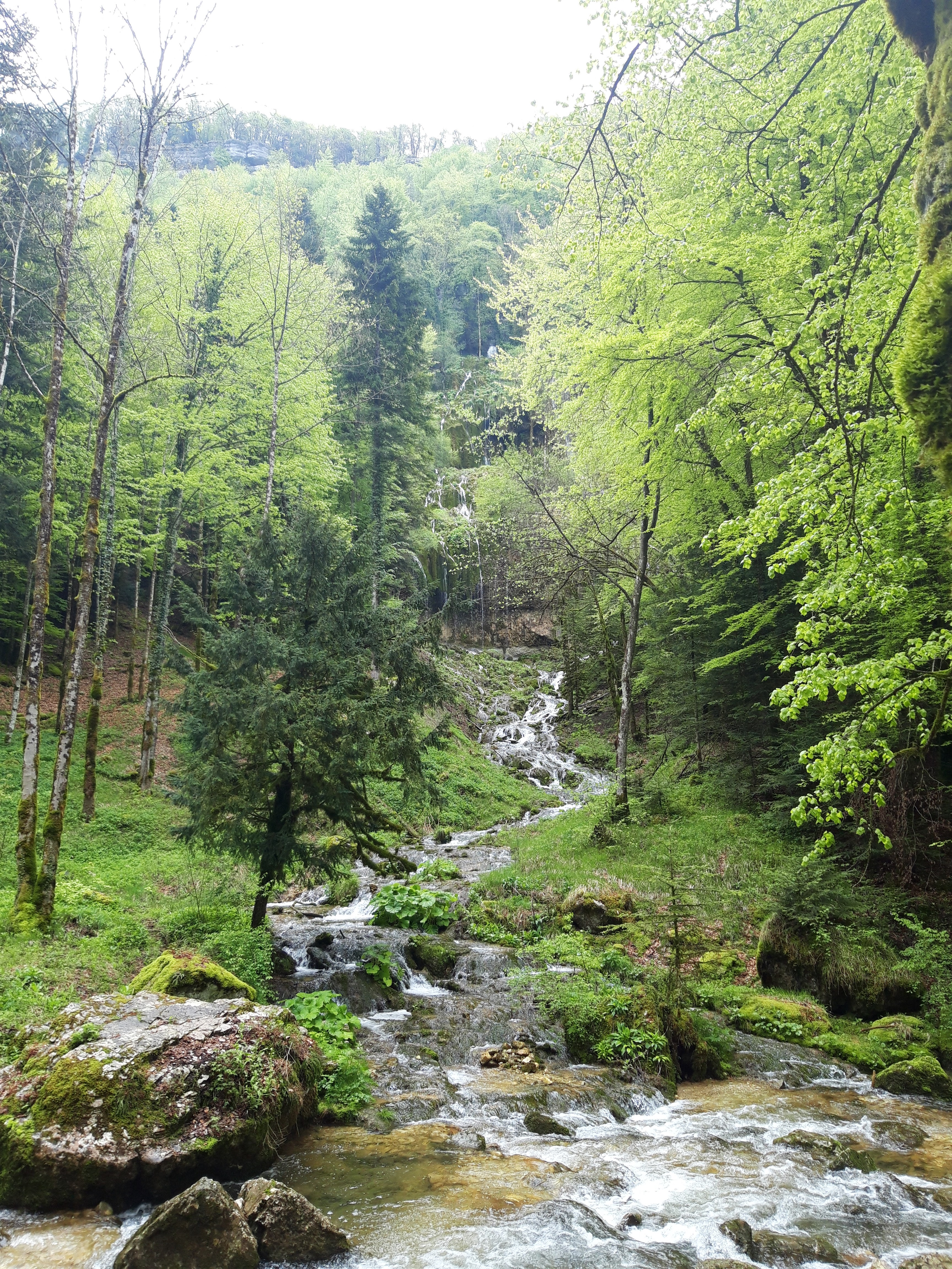 Photo n° 4 de l'avis de pascale.i fait le 12/05/2019 à 15:39