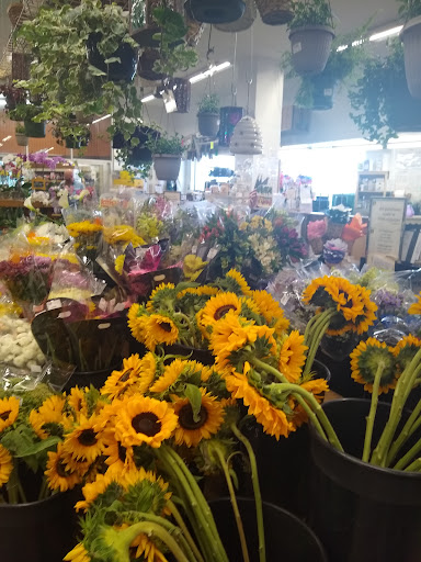 Grocery Store «Horrocks Farm Market», reviews and photos, 235 Capital Ave SW, Battle Creek, MI 49037, USA