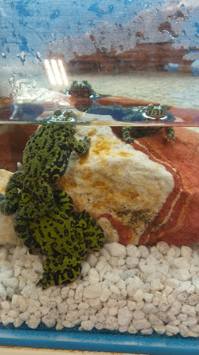 Pet Supply Store «PetSmart», reviews and photos, 8660 Airline Hwy, Baton Rouge, LA 70815, USA