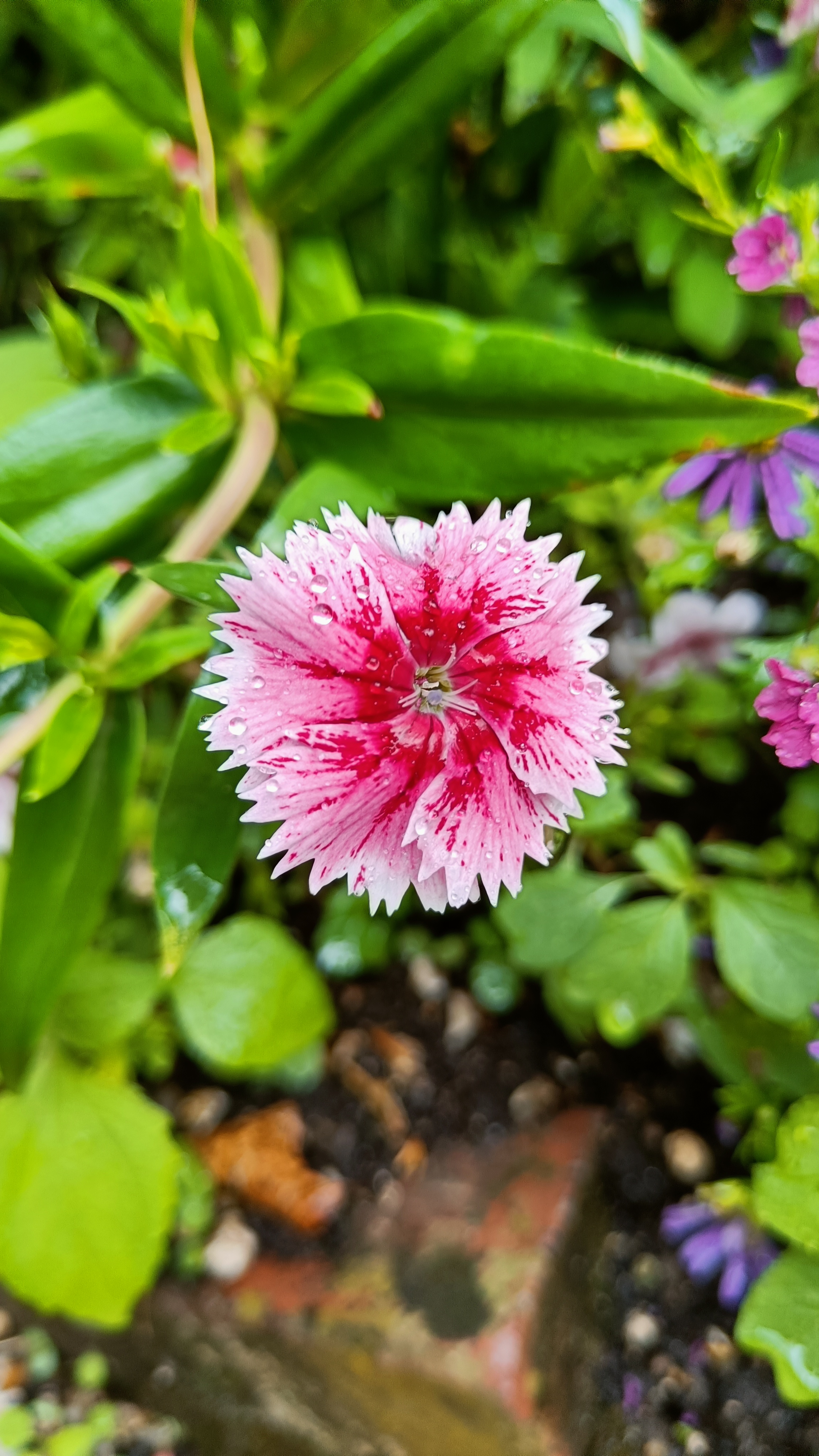 Photo n° 45 de l'avis de Eliot.o fait le 28/07/2023 à 16:35