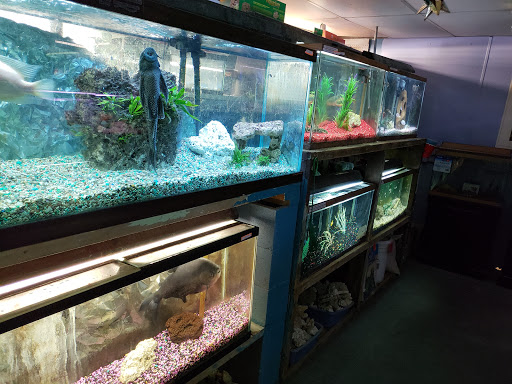 Pet Groomer «Animal Kingdom Grooming», reviews and photos, 339 S Santa Fe Ave, Pueblo, CO 81003, USA