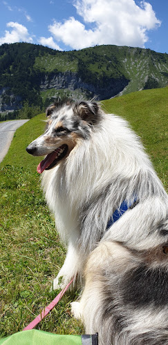 Tierklinik Masans - Chur