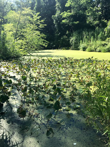 Nature Preserve «Governor Bridge Natural Area», reviews and photos, 7600 Governor Bridge Rd, Bowie, MD 20716, USA