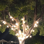 Photo n°1 de l'avis de Damiano.R fait le 01/10/2021 à 22:26 sur le  Ristorante Costaraba à Costaraba