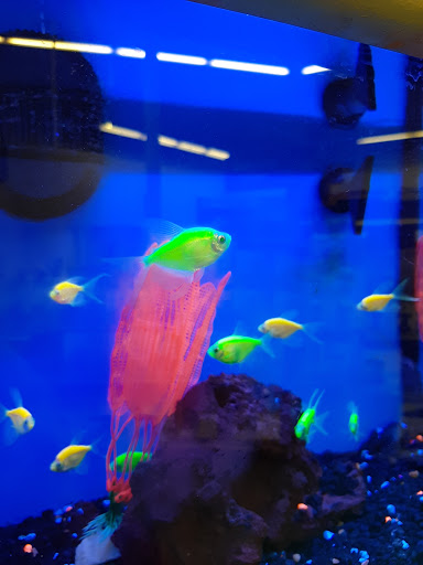 Pet Supply Store «Petco Animal Supplies», reviews and photos, 6672 Lonetree Blvd, Rocklin, CA 95765, USA