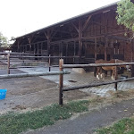 Photo n°13 de l'avis de Norhet. fait le 18/07/2020 à 17:44 sur le  Hof Liebeneck à Osterspai