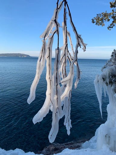 Coffee Shop «Dead River Coffee Shop», reviews and photos, 119 W Baraga Ave, Marquette, MI 49855, USA