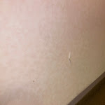 Photo n°4 de l'avis de Eva. fait le 21/07/2023 à 17:13 sur le  Enea Hotel à Pomezia