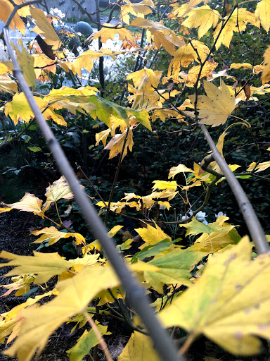 Park «Fremont Peak Park», reviews and photos, 4357 Palatine Ave N, Seattle, WA 98103, USA