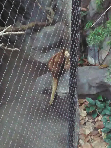 Gift Shop «Minnesota Zoo Gift Shop», reviews and photos, 13000 Zoo Blvd, Apple Valley, MN 55124, USA