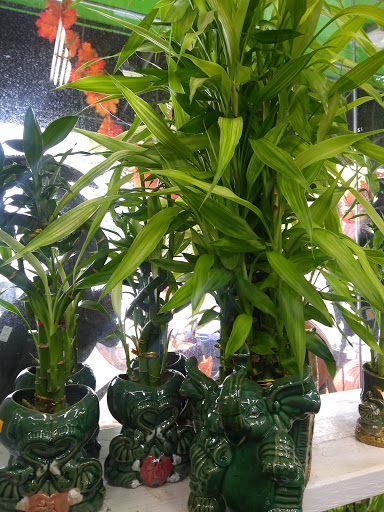 Florist «Metropolitan Plant & Flower», reviews and photos, 840 NJ-17, Paramus, NJ 07652, USA