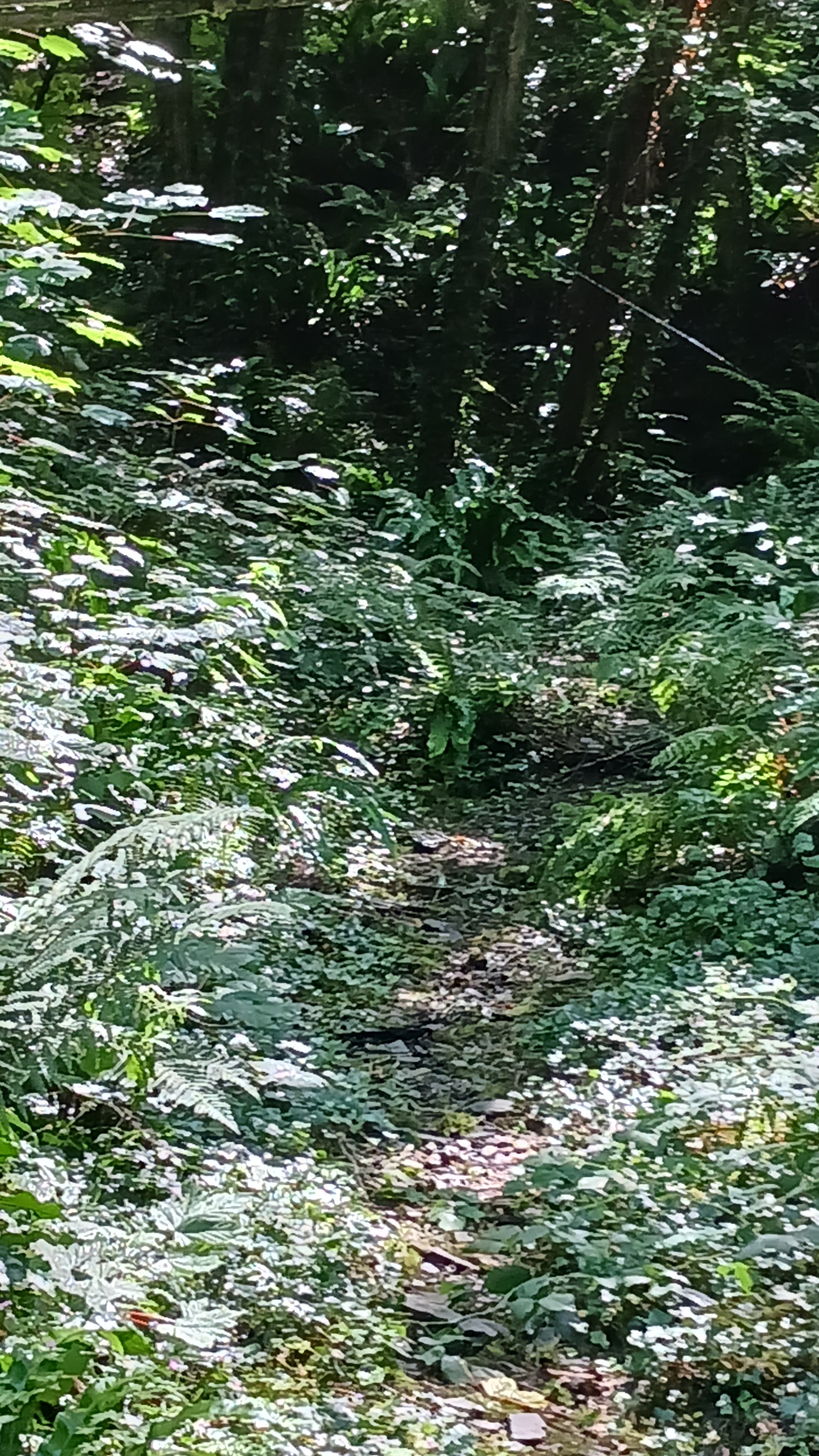 Photo n° 2 de l'avis de Claude.e fait le 03/08/2023 à 18:32