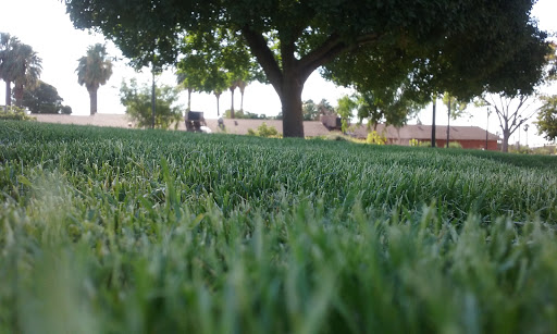 Park «Lorenzi Park», reviews and photos, 3343 W Washington Ave, Las Vegas, NV 89107, USA