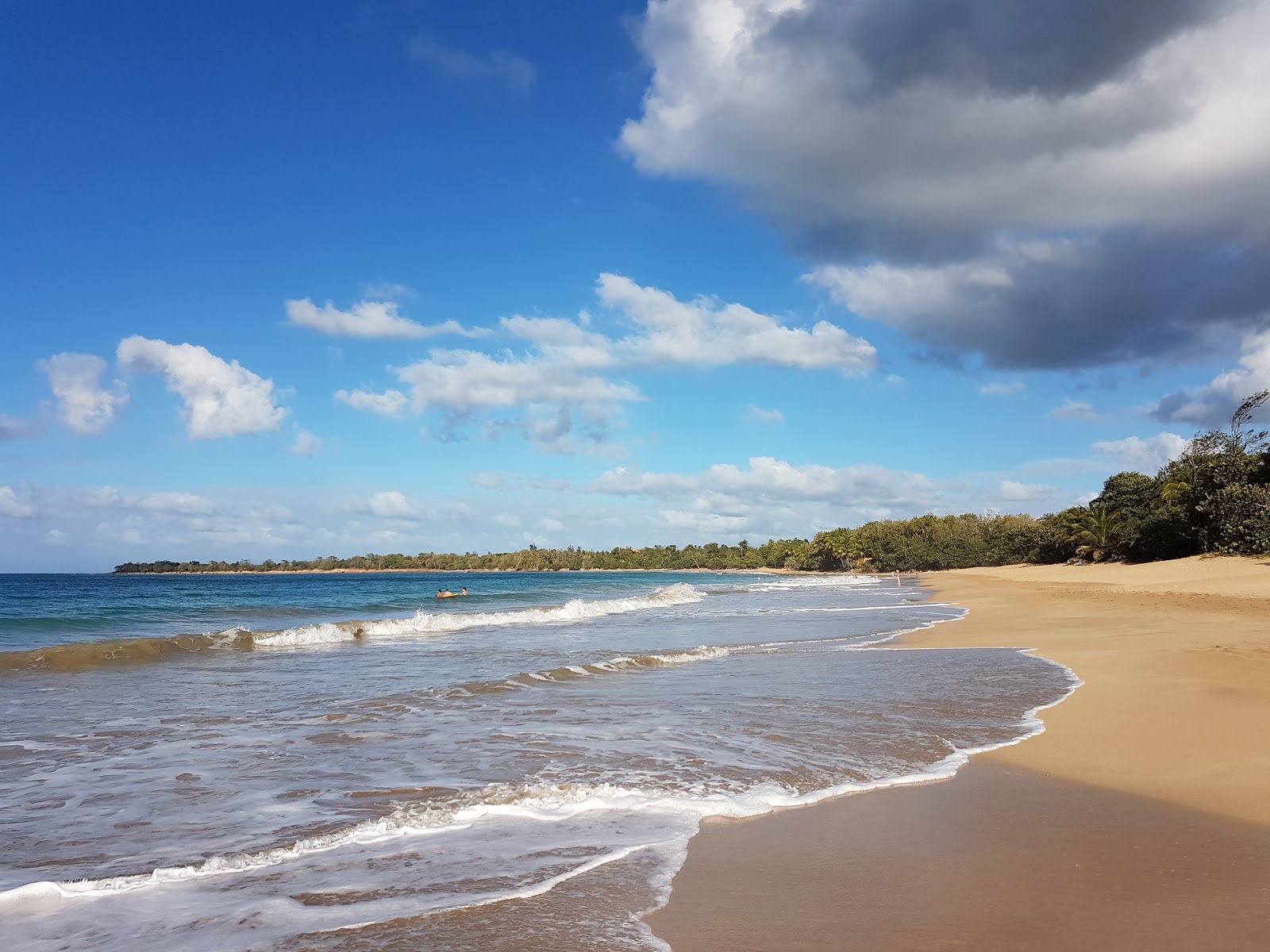 Plage de Cluny photo #8