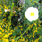 Photo n°3 de l'avis de Jennifer.o fait le 27/05/2018 à 20:44 sur le  Luz Charming Houses à Fátima