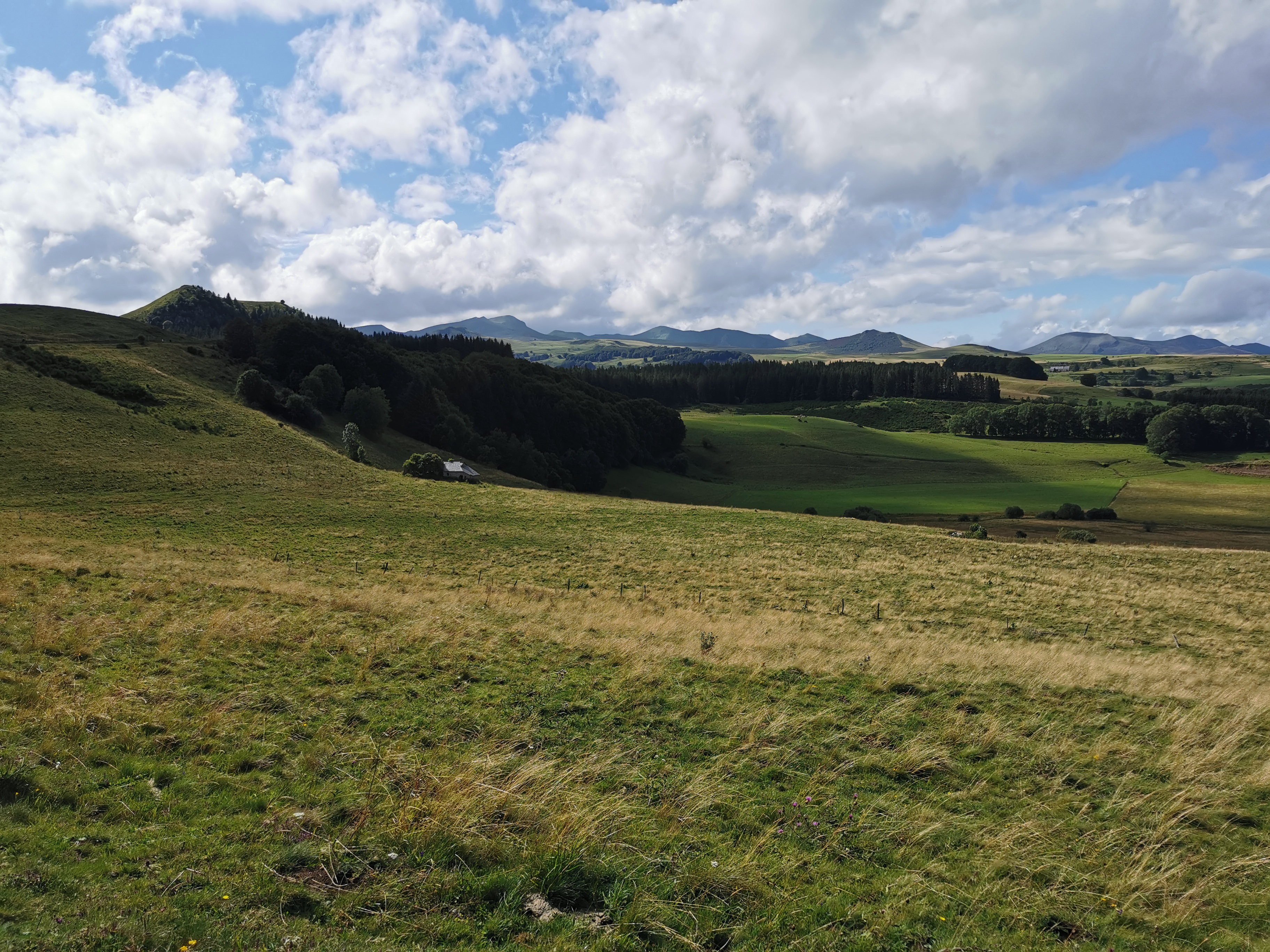 Photo n° 1 de l'avis de Alexandre.a fait le 08/08/2021 à 19:31