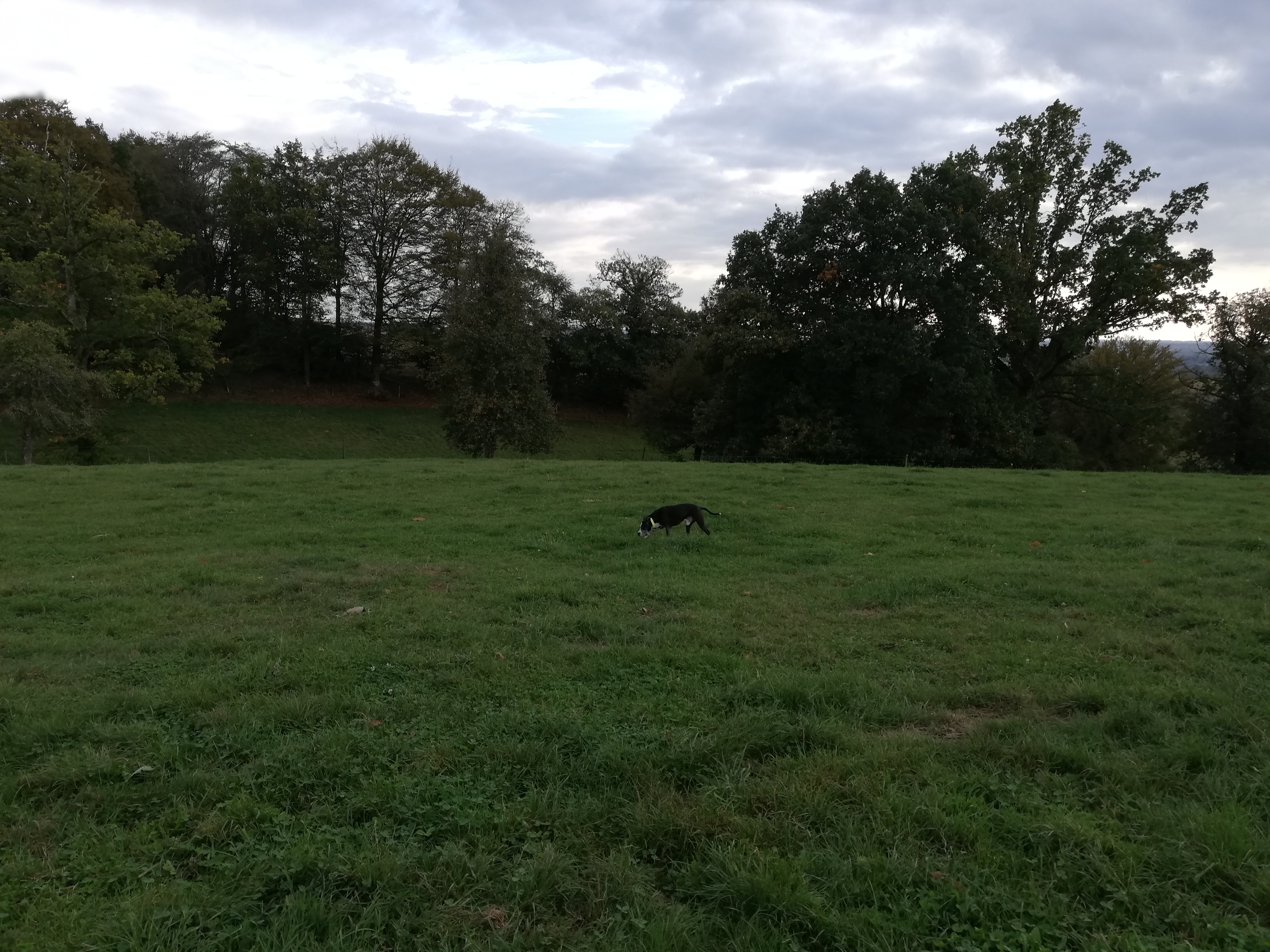 Photo n° 2 de l'avis de Rialland.o fait le 14/10/2018 à 21:12