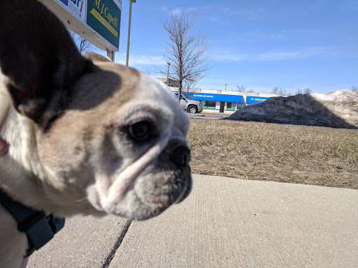Pet Supply Store «Natural Pet Center», reviews and photos, 3037 13th Ave S, Fargo, ND 58103, USA