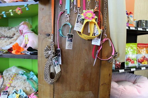 Pet Supply Store «EarthWise Pet Supply East Village», reviews and photos, 1051 Market St, San Diego, CA 92101, USA